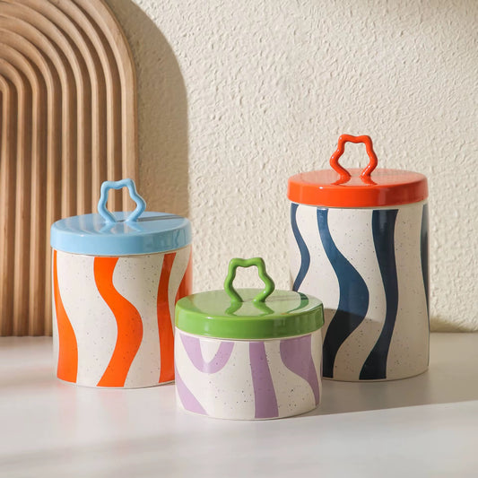 The Colorful Storage Jars Set